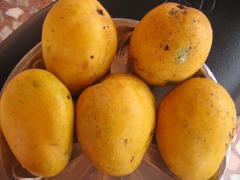 Mango national fruit